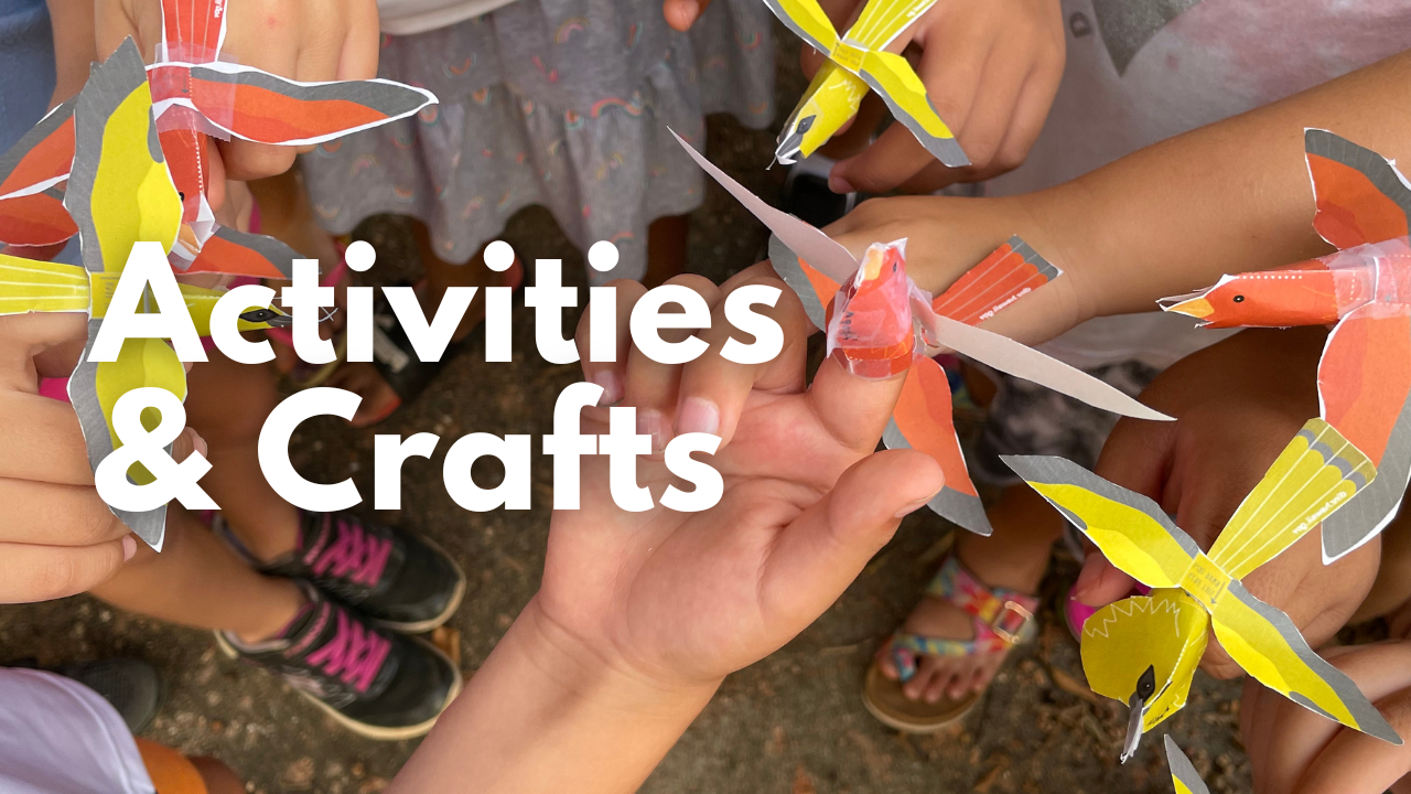 Activities and crafts