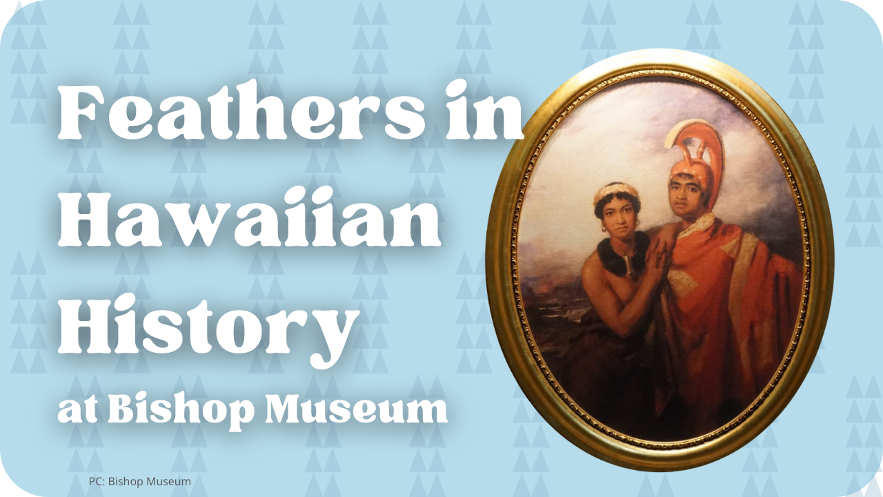 Feathers in Hawaiʻi History