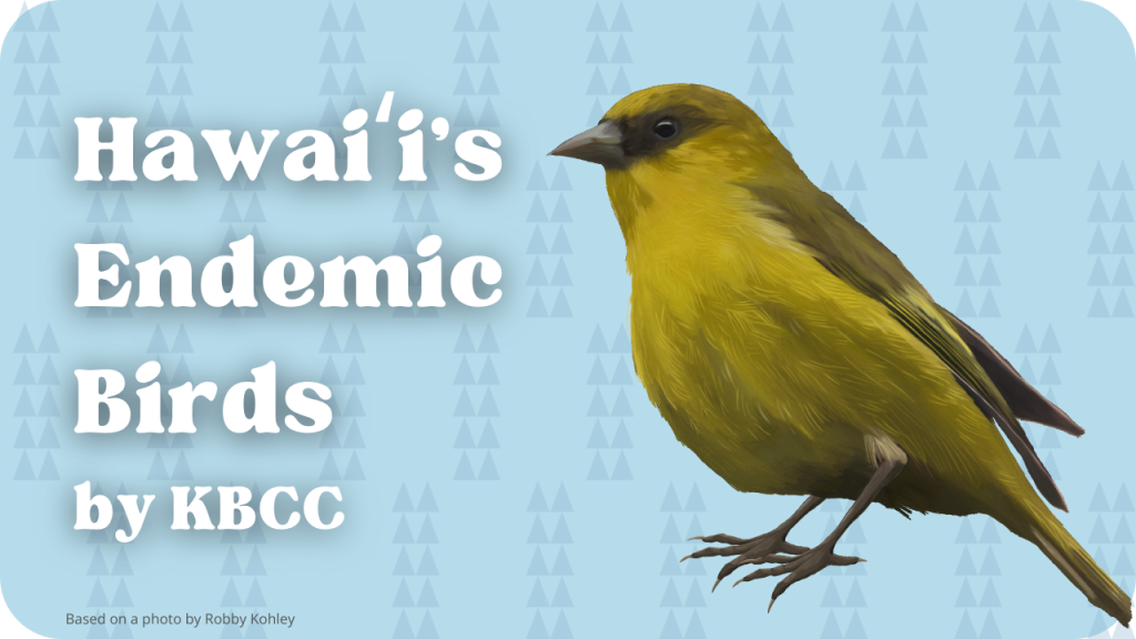 Hawaiʻi's Endemic Birds
