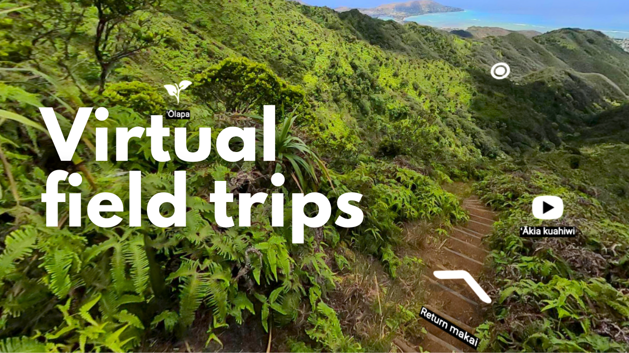 Virtual field Trips