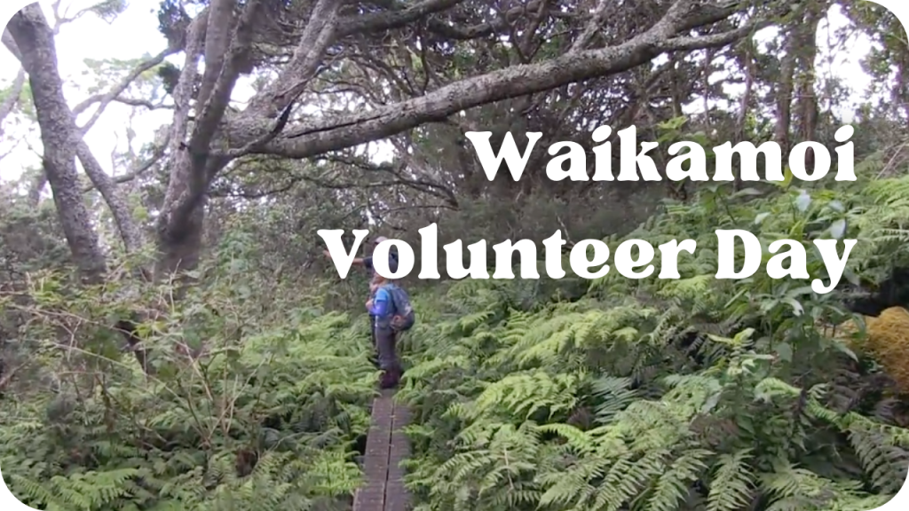 Waikamoi Volunteer Day