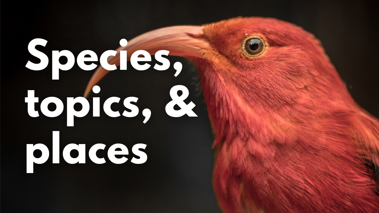 Learn about species, topics and places