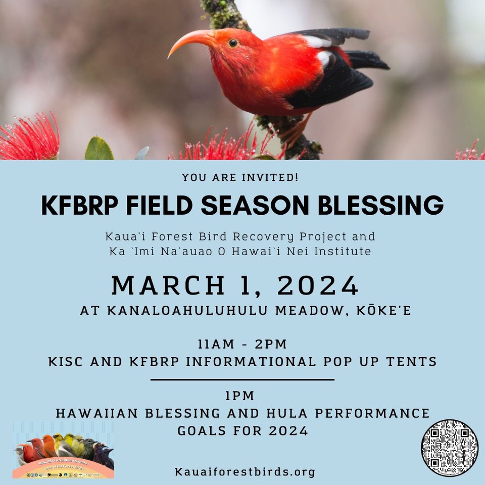 Kauai Forest Bird Blessing Flyer
