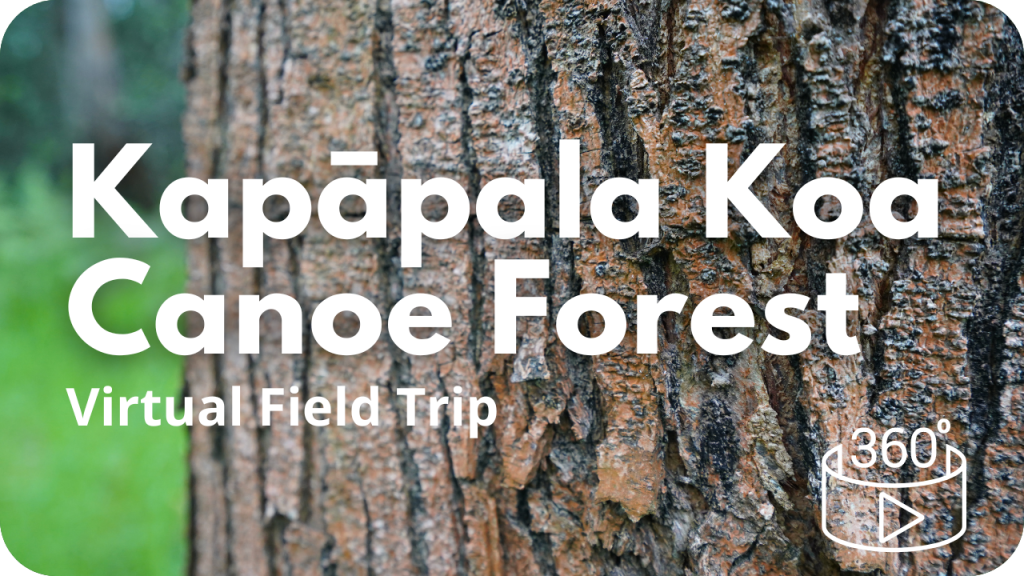 Kapāpala Koa Canoe Forest Virtual Field Trip
