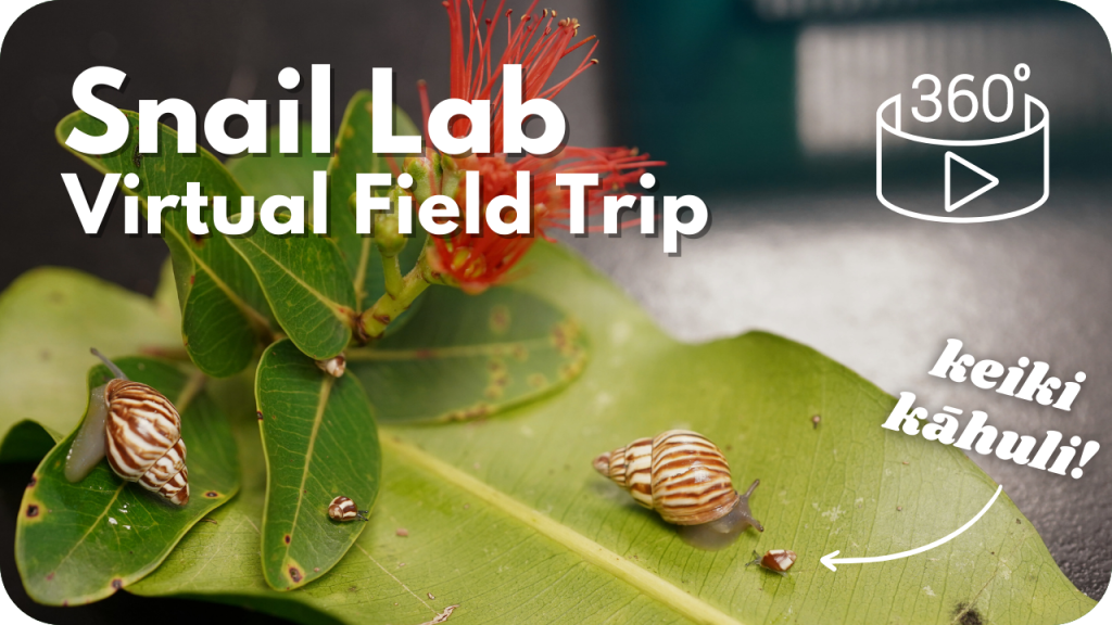 Snail Lab Virtual Field Trip