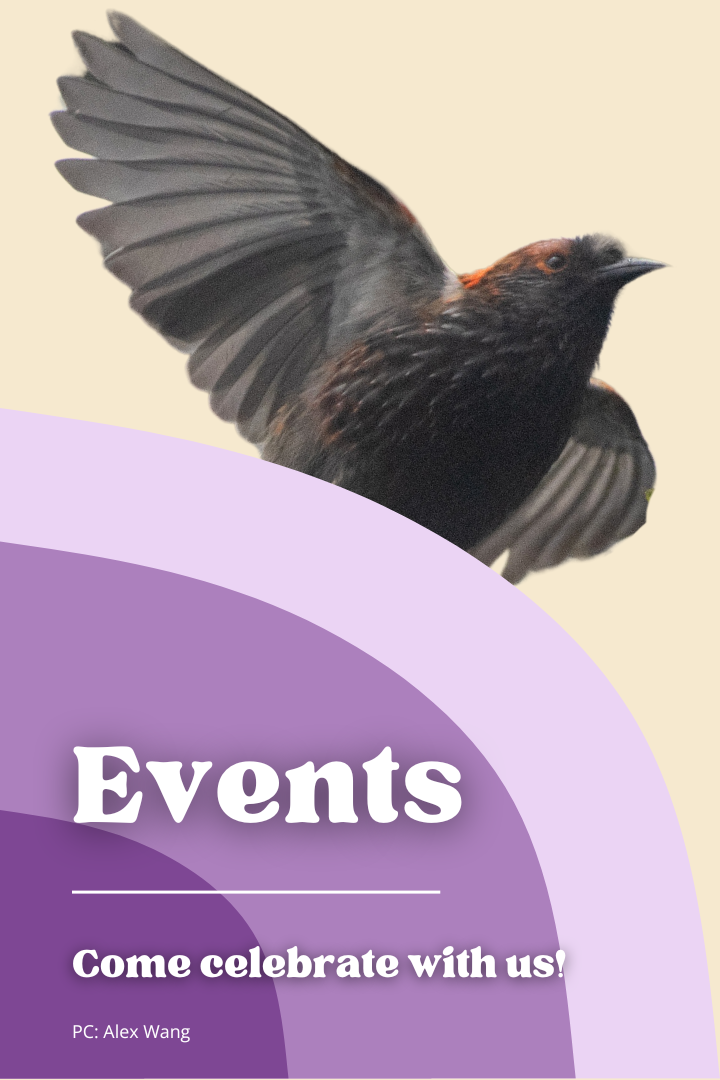 Events button