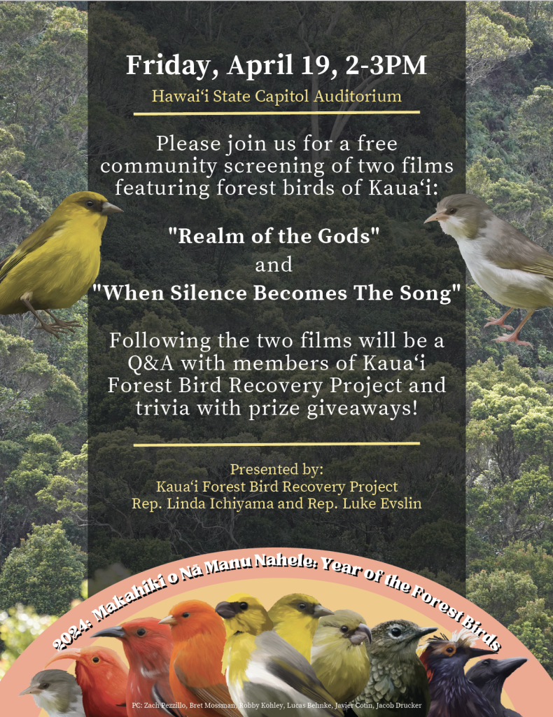 Forest Bird Film Flyer