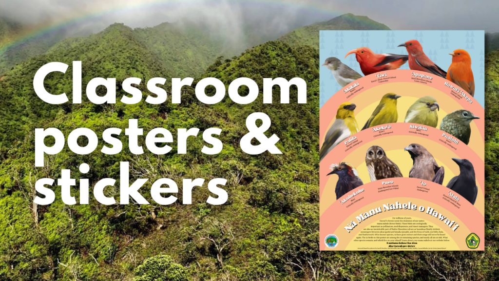 Classroom Posters and Stickers