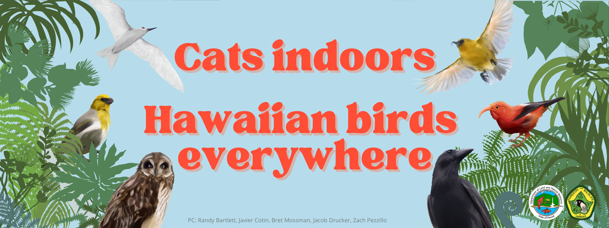 Cats Indoors Hawaiian Birds Everywhere bumper sticker
