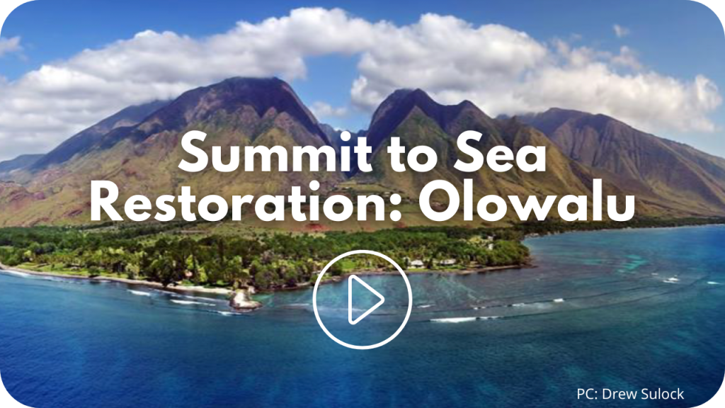 Olowalu summit to sea restoration video