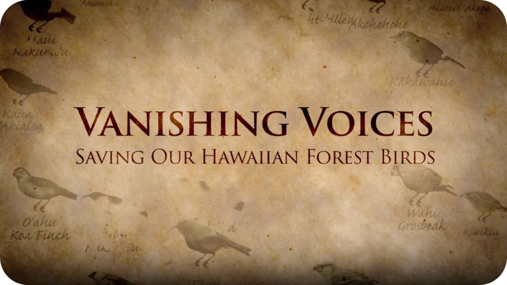 Vanishing Voices thumbnail