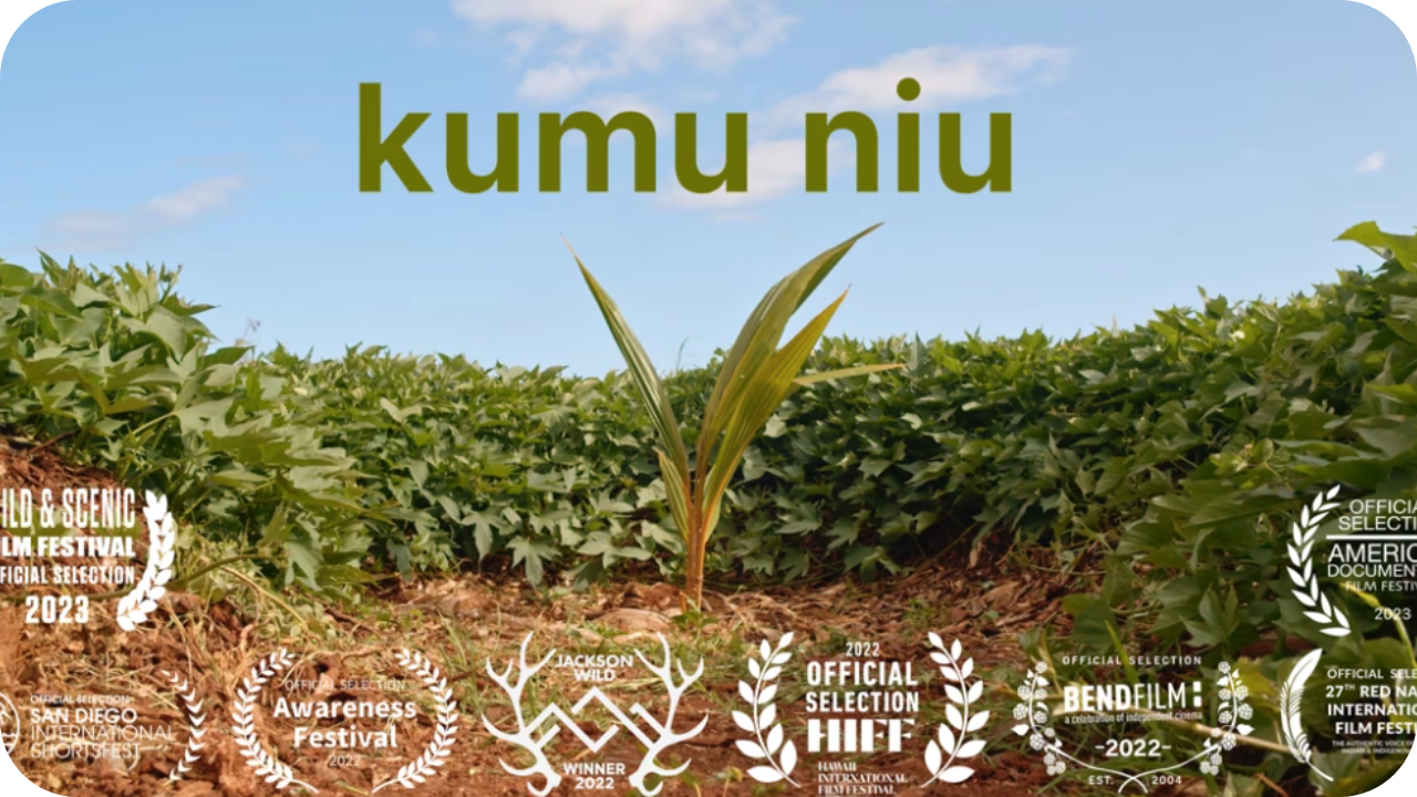 Kumu Niu thumbnail