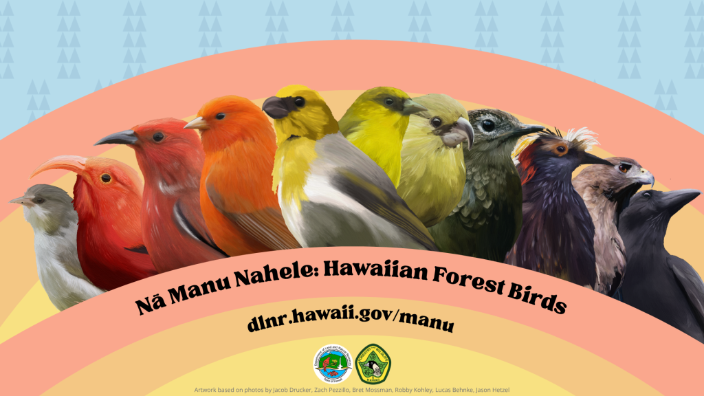 Nā Manu Nahele o Hawaiʻi: Hawaiian Forest Birds