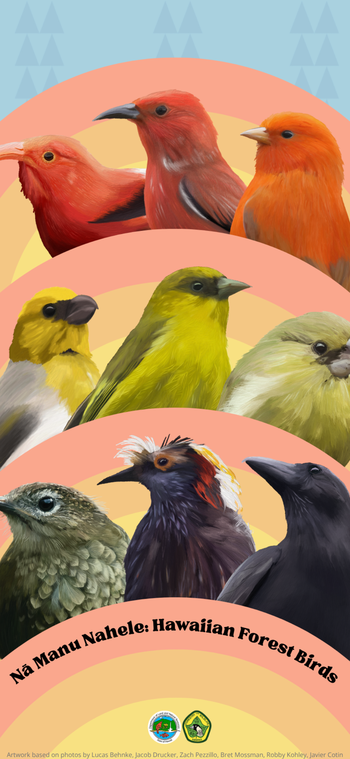 Forest bird phone paper