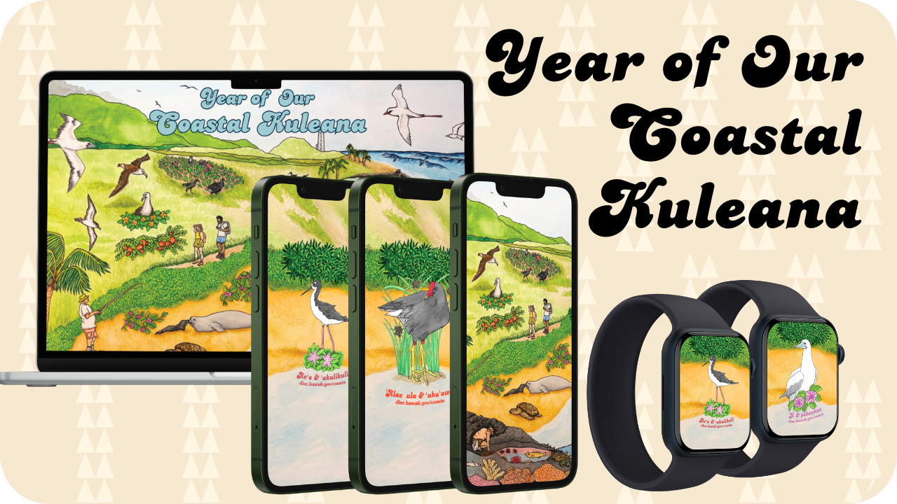 Year of Our Coastal Kuleana