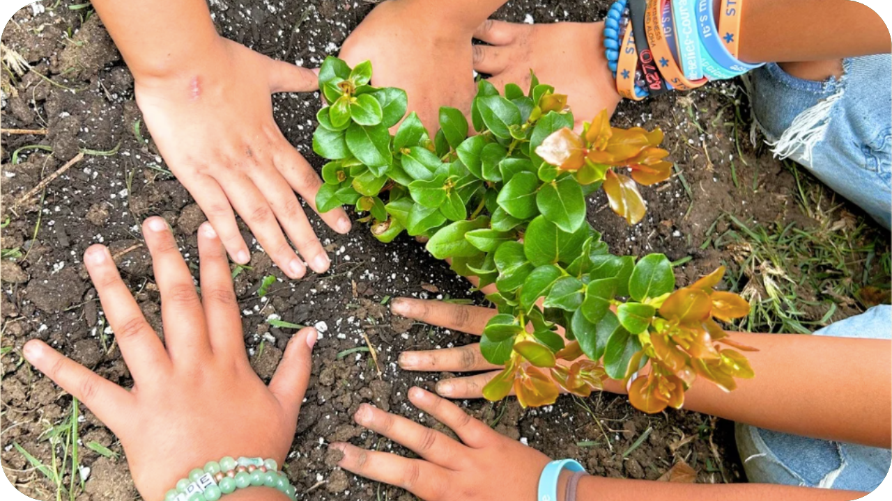 Community Forestry Education