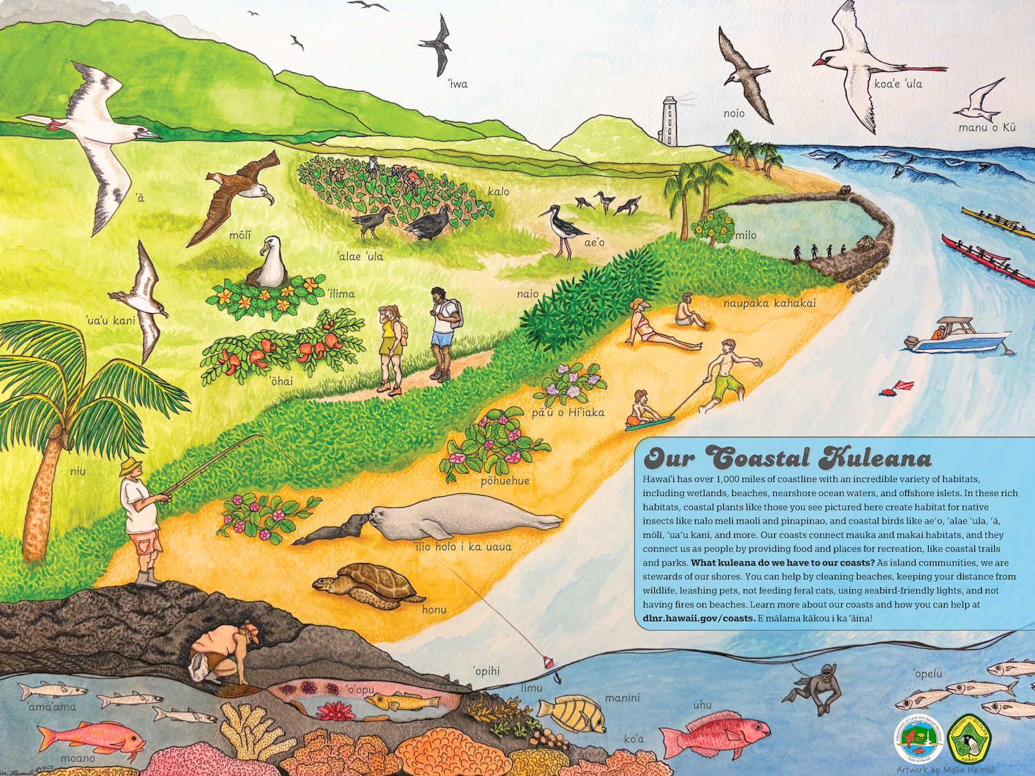 Our Coastal Kuleana classroom poster- image of people, plants, and animals along the shore