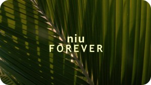 niu forever text in front of coconut leaf