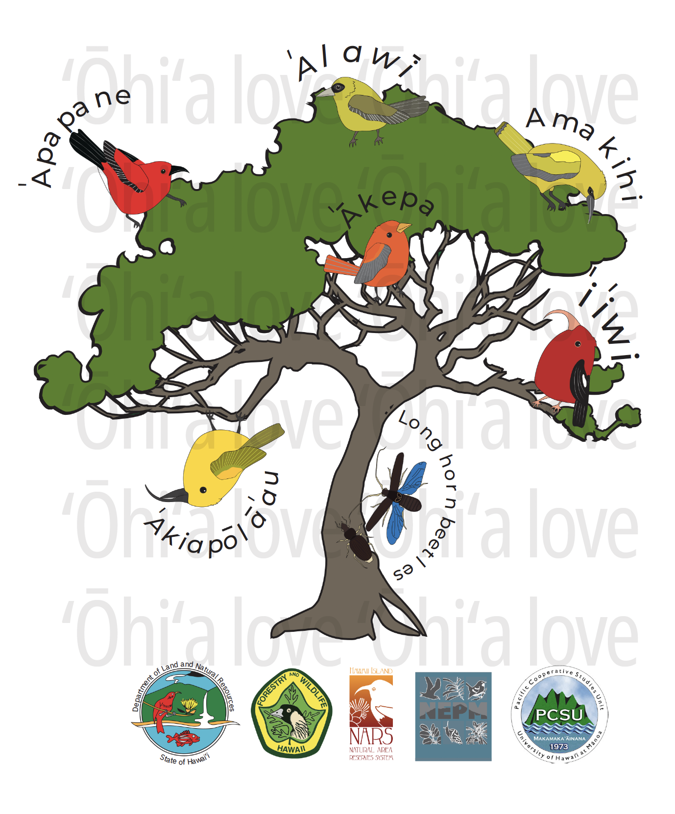 ʻŌhiʻa for our Future coloirng and activity book thumbnail