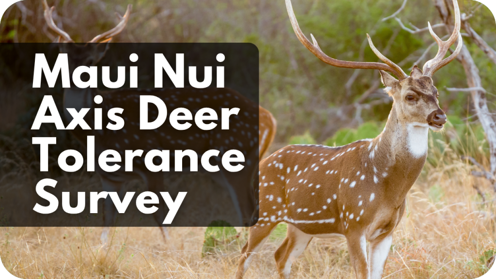 Maui Nui Axis Deer Tolerance Survey
