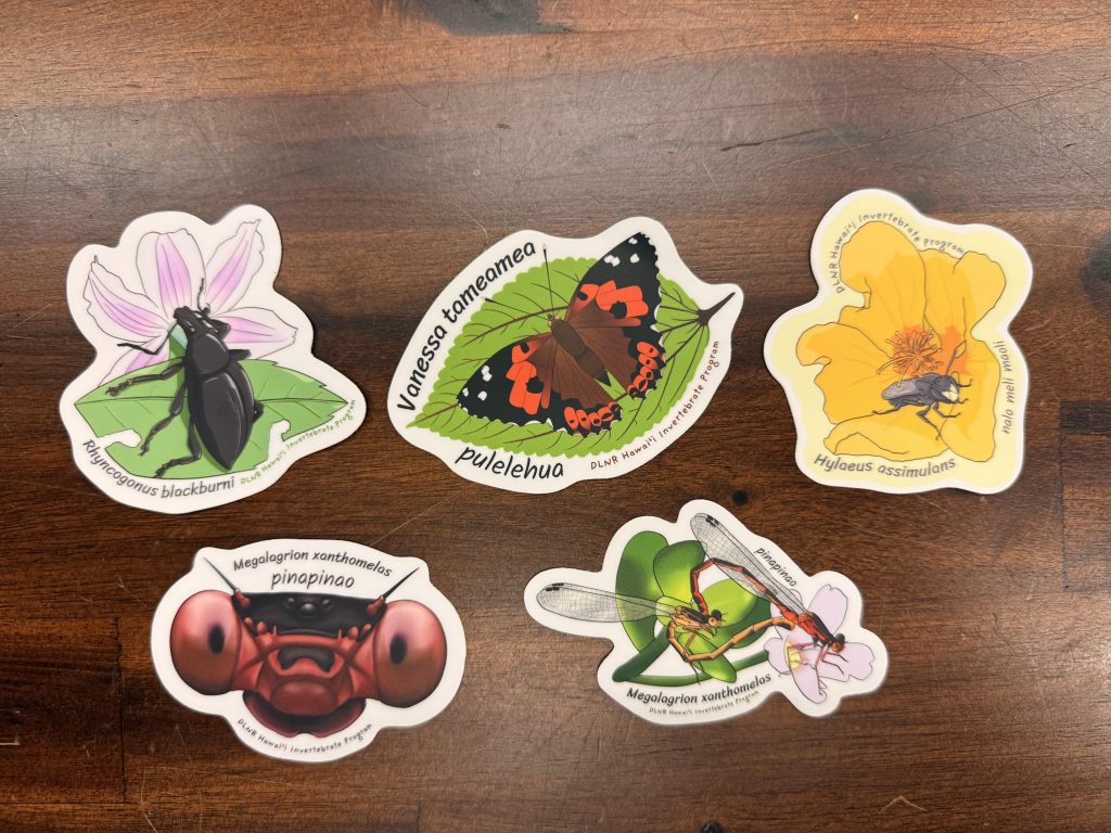 Five sticker designs featuring native insects