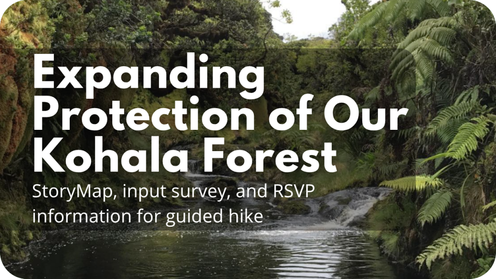 Expanding Protection of our Kohala Forest: StoryMap, input survey, and RSVP information for guided hike. Image of stream in forest.