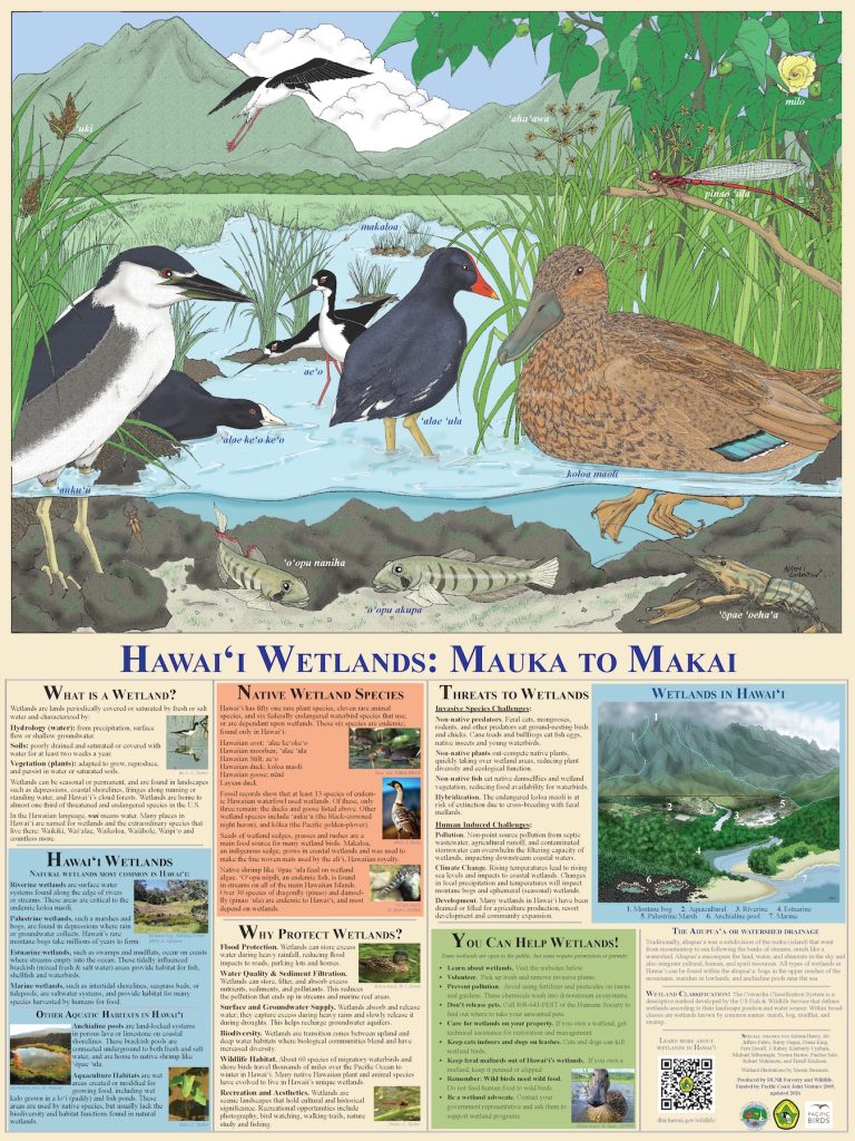Hawaiʻi Wetlands: Mauka to Makai poster