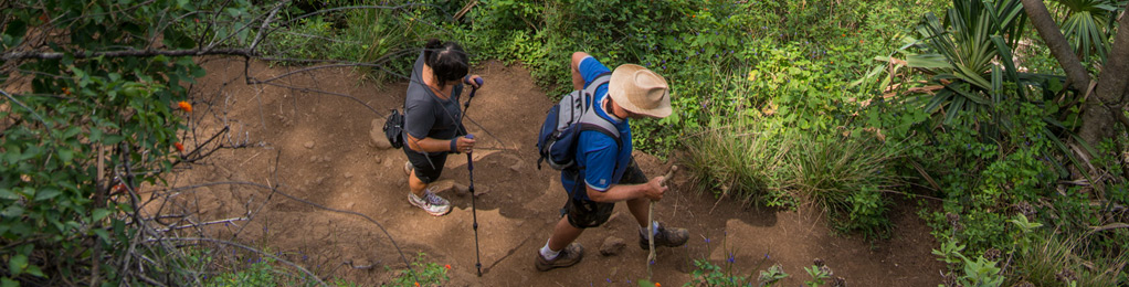 Hawaii hikers