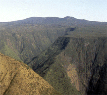 Native Ecosystems Protection Management Pu U O Umi