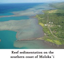 About Watersheds Reef