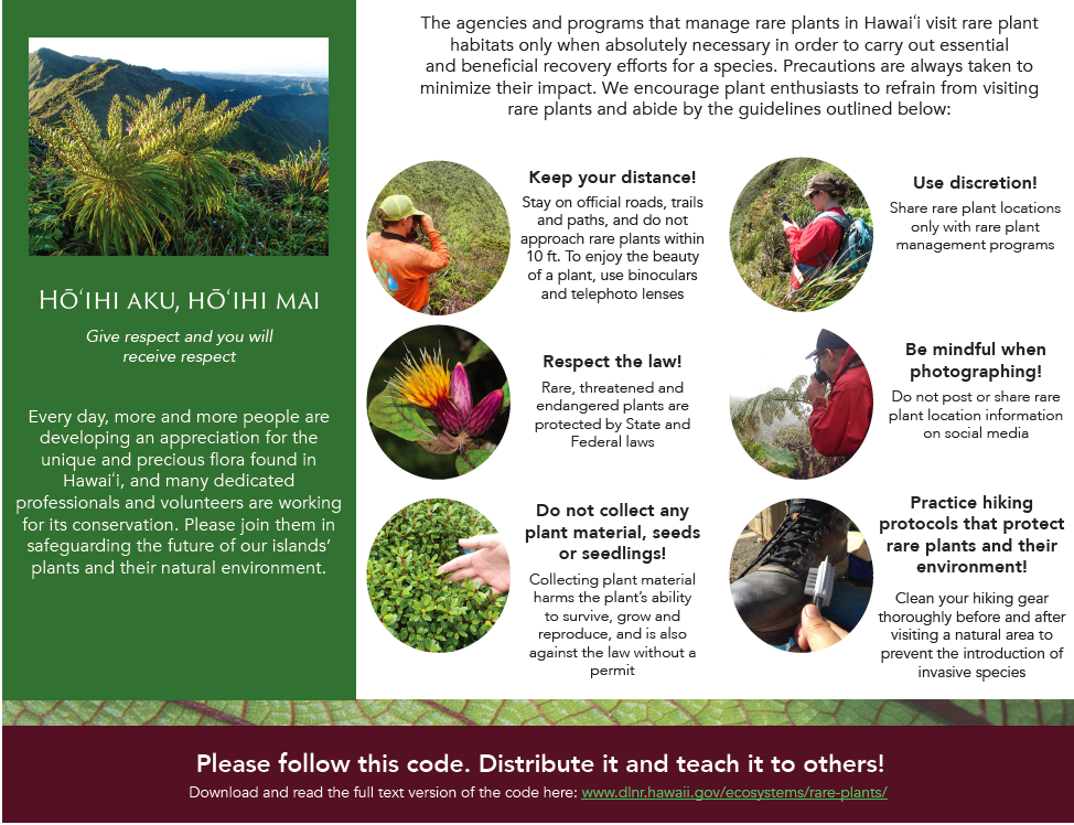 19+ Native Plants To Hawaii - ArfaaAnnilie