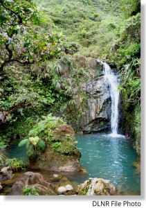 Kaluanui_Waterfall 1_Emma Yuen