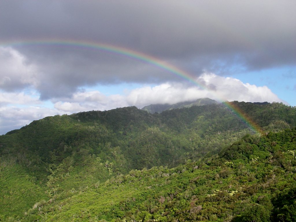 Division of Forestry and Wildlife: Native Ecosystems Protection ...