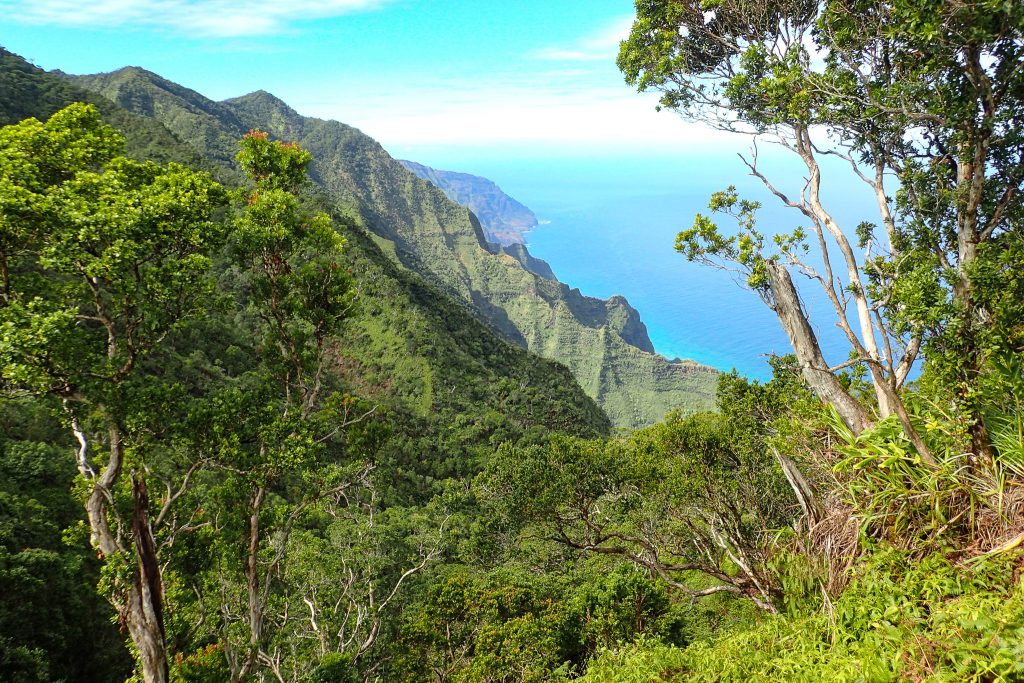 An image of Hono O Nā Pali NAR