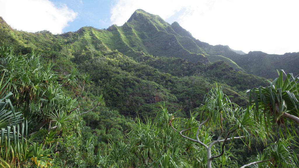 An image of Hono O Nā Pali NAR