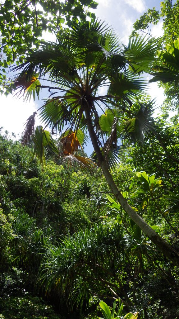 An image of Hono O Nā Pali NAR