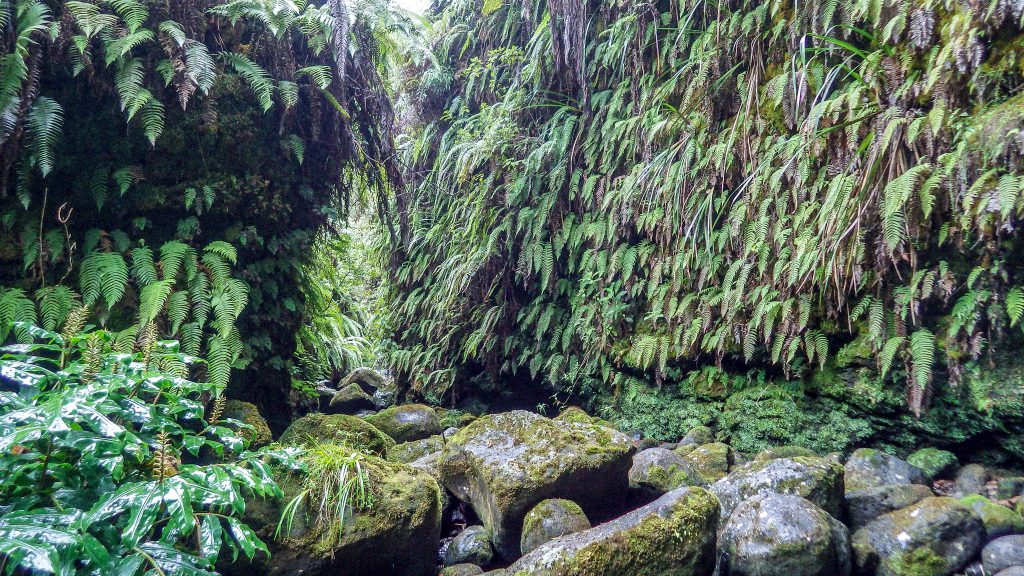 An image of Hono O Nā Pali NAR