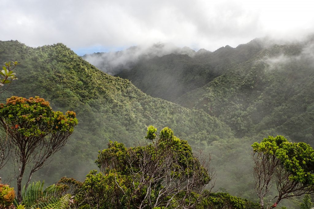 An image of Hono O Nā Pali NAR