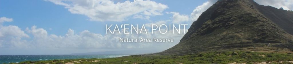 An image of Kaʻena Point