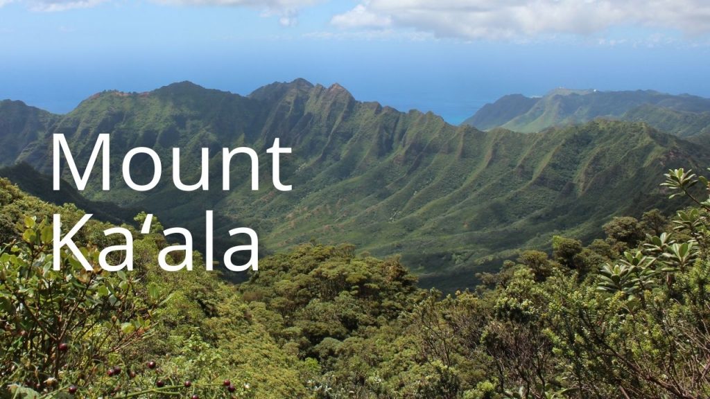An image of Mt Kaʻala linking to more info