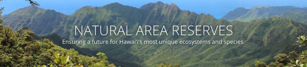 An image of a mountain landscape seen from Kaʻala Natural Area Reserve