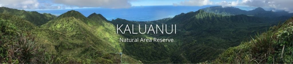 Kaluanui landscape in the Ko‘olau Mountains