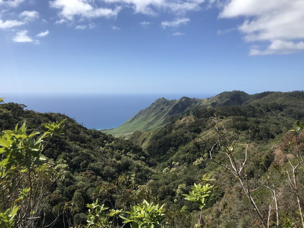 image of mountains