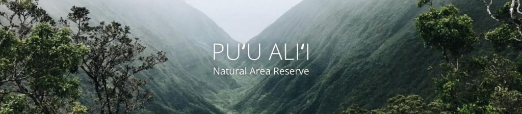 Image of Puu Alii Mountains