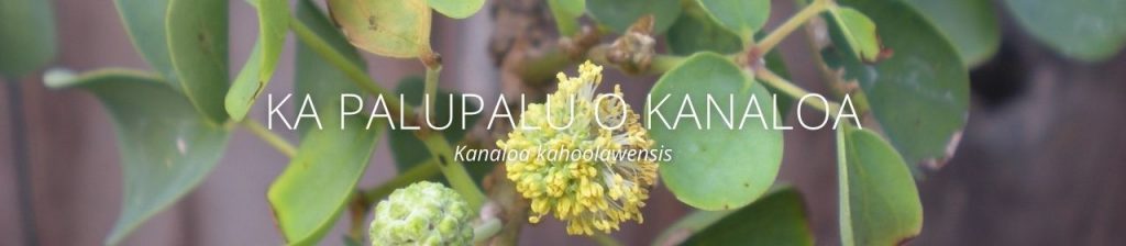 cover image of Ka palupalu o Kanaloa