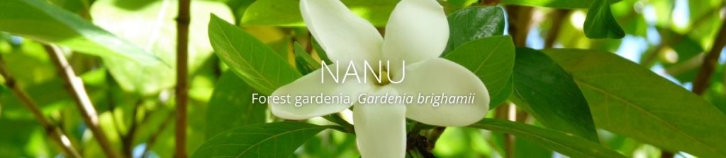 cover image of nanu