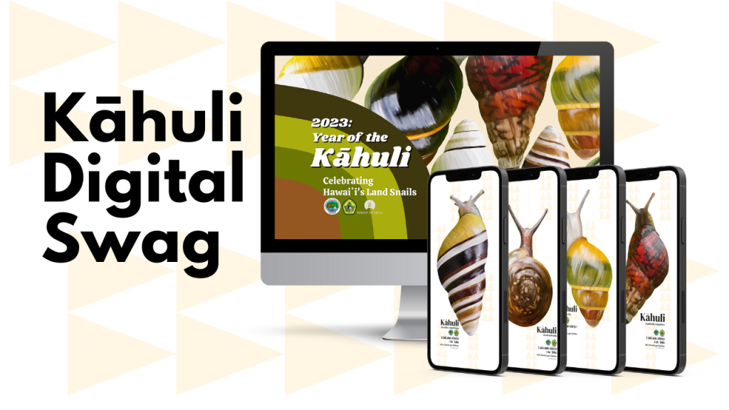 Kahuli digital swag wallpapers and backgrounds