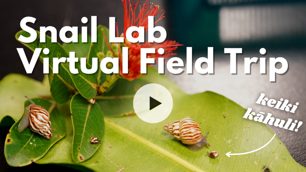 Snail lab virtual field trip