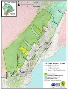 Division of Forestry and Wildlife: Forestry Program | Ka‘ū Forest Reserve