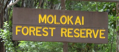 molokai1